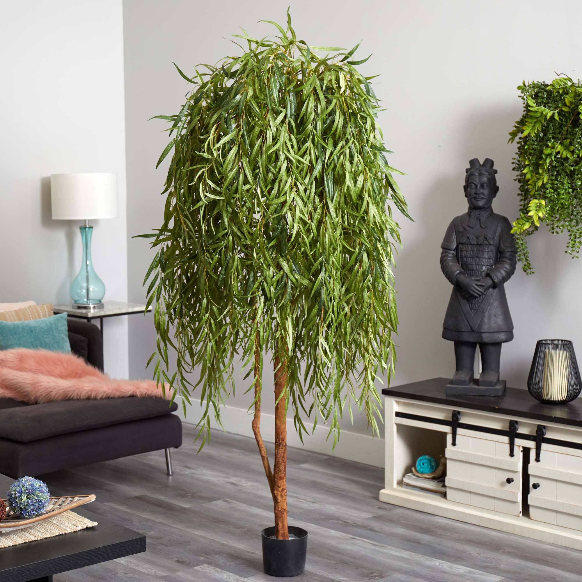 7ft. Potted Willow Tree